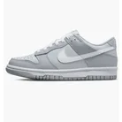 Кроссовки детские Nike Dunk Low Two-Toned Grey Dh9765-001