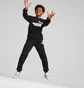 Спортивный костюм детский Puma No. 1 Logo Sweat Suit Youth Black 670884-01