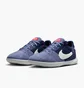 Футзалки унісекс Nike Streetgato Violet DC8466-500