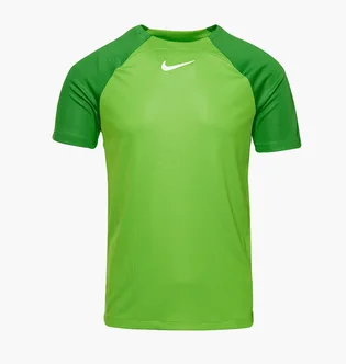 Футболка мужская Nike Dri-Fit Academy Pro Ss Top Green DH9225-329