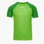Футболка чоловіча Nike Dri-Fit Academy Pro Ss Top Green DH9225-329