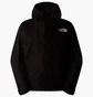 Ветровка мужская The North Face Dryvent™ Mono Black NF0A88XFJK3