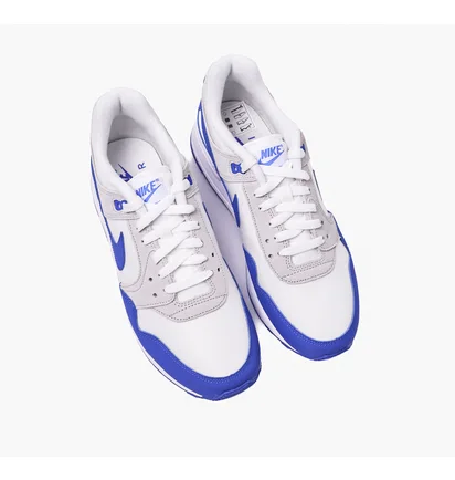 Кроссовки мужские Nike Air Pegasus 89 White FN3415-100