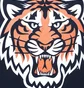 Худи мужское 47 Brand Detroit Tigers Lc Backer Blue 581455FN-FS