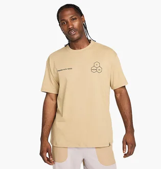 Футболка мужская Nike Acg Dri-Fit Tee Oc Walk Tree Beige HJ0796-297