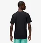 Футболка чоловіча Air Jordan Flight Mvp Baseball Black FN5990-010