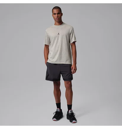 Футболка мужская Air Jordan Sport Grey IB6757-050