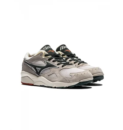 Кросівки унісекс Mizuno Sky Medal S Grey D1GA213210
