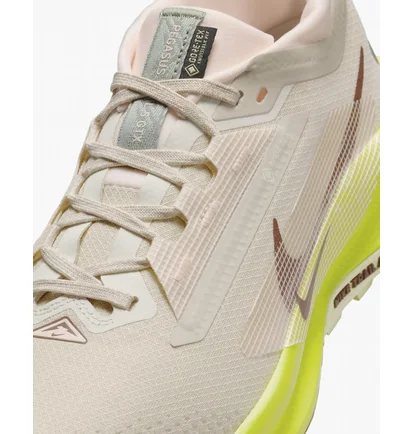 Кроссовки женские Nike Pegasus Trail 5 Gore-Tex Waterproof Trail Running Shoes Beige FQ0912-101