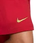 Футболка мужская Nike Kobe Max90 Basketball Red FZ8071-636
