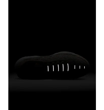 Кросівки жіночі Nike Air Max Plus Brown FB2557-200