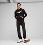 Спортивный костюм мужской Puma Essentials No. 1 Logo Black 682570-01__682606-01