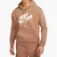 Худи мужское Nike Jumpman Core Fleece Po Hoodie “Archaeo Brown” Beige Dc9604-256
