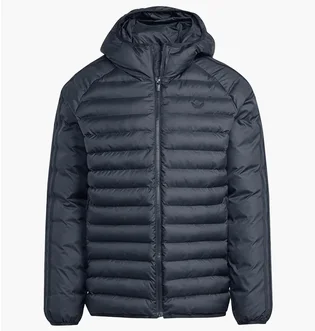 Куртка мужская Adidas Synthetic Hooded Originals Black JX4117