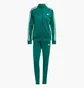 Спортивный костюм женский Adidas Essentials 3-Stripes Green IJ8785