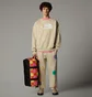 Свитшот мужской The North Face Ilori Crew Beige NF0A89C83X4