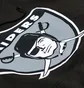 Худи мужское Mitchell & Ness Nfl Team Logo Hoody Oakland Raiders Black HDSSINTL1052-ORABLCK