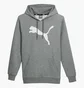 Худи мужское Puma Big Cat Logo Grey 672712-03