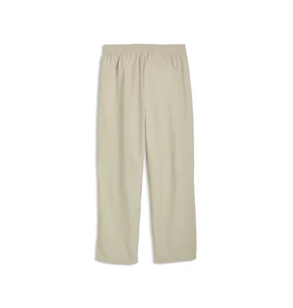 Штаны мужские Puma Wardrobe Ess Relaxed Beige 629653-61
