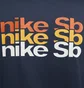 Футболка унісекс Nike Sb Skate T-Shirt Blue FJ1163-410
