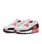 Кросівки жіночі Nike Air Max 90 Aster Pink White DH8010-105