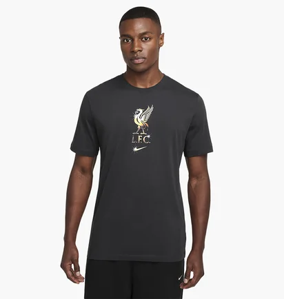 Футболка мужская Nike Lfc Nk Crest Grey HQ0266-070