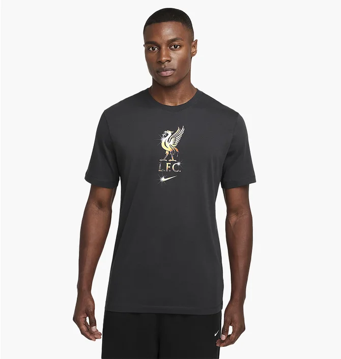 Футболка мужская Nike Lfc Nk Crest Grey HQ0266-070