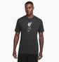Футболка мужская Nike Lfc Nk Crest Grey HQ0266-070