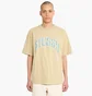 Футболка чоловіча stussy Arched Pig Beige 1905085-2727