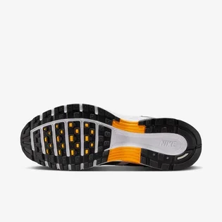 Кросівки чоловічі Nike P-6000 Multi IF6208-001