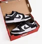 Кросівки жіночі Nike Dunk Low Next Nature White/Black Dd1873-102