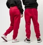 Штаны мужские Air Jordan Essential Fleece Pants Red FV7277-687