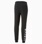 Штаны мужские Puma Essentials Block Camo Black 673339-01
