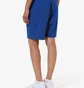 Шорты мужские AUSTRALIAN Vibes Short Holographic Logo Blue LSDSH0002-ITA