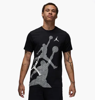 Футболка мужская Air Jordan M J Brand Ss Hbr Crew Black FN6025-010