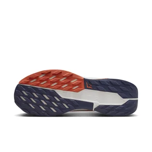 Кроссовки мужские Nike Pegasus Trail 5 Gore-Tex Beige FQ0908-003