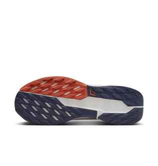 Кроссовки мужские Nike Pegasus Trail 5 Gore-Tex Beige FQ0908-003
