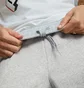 Штаны мужские Puma Essentials+ 2 Col Logo Grey 586767-04