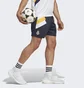 Шорты мужские Adidas Real Madrid Icon Shorts Blue HT6457