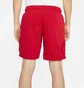 Шорты мужские Air Jordan Jumpman Diamond Shorts Red DC7576-687