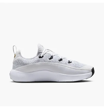 Кросівки чоловічі Nike Lebron Tr 1 Grey FJ6151-006