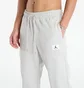 Спортивный костюм мужской Air Jordan Flight Fleece Grey FV7247-050__FV7251-050