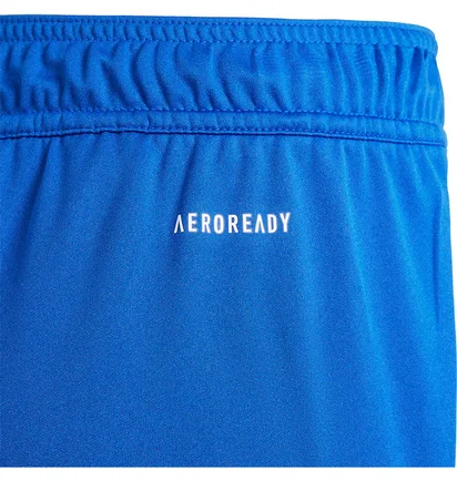 Шорты детские Adidas Tiro 24 Blue IR9366