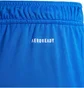 Шорты детские Adidas Tiro 24 Blue IR9366