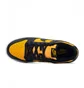 Кроссовки мужские Nike Dunk Low Yellow/Black FZ4618-001