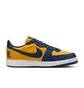 Кросівки чоловічі NIKE Terminator Low Og Blue/Yellow FJ4206-700