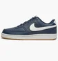 Кроссовки мужские Nike Court Vision Lo Blue FZ5547-400