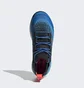 Кроссовки мужские Adidas Terrex Free Hiker Primeblue Hiking Shoes Black/Blue Gz0334