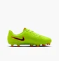 Бутсы детские Nike Legend 10 Club Fg/Mg Green DV4352-701