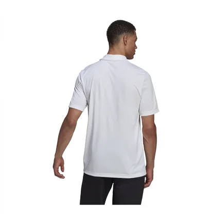 Поло мужское Adidas Wit Entrada 22 Poloshirt White HC5067